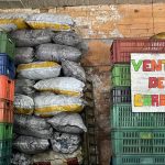 Fusagasugá: incautan 274 bultos de carbón vegetal ilegal