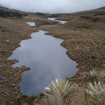 Sumapaz concentra proyectos ambientales de Cundinamarca