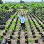 Agroindustria, la apuesta para el campo colombiano