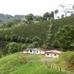Fusagasugá proyecta nuevas acciones para el campo